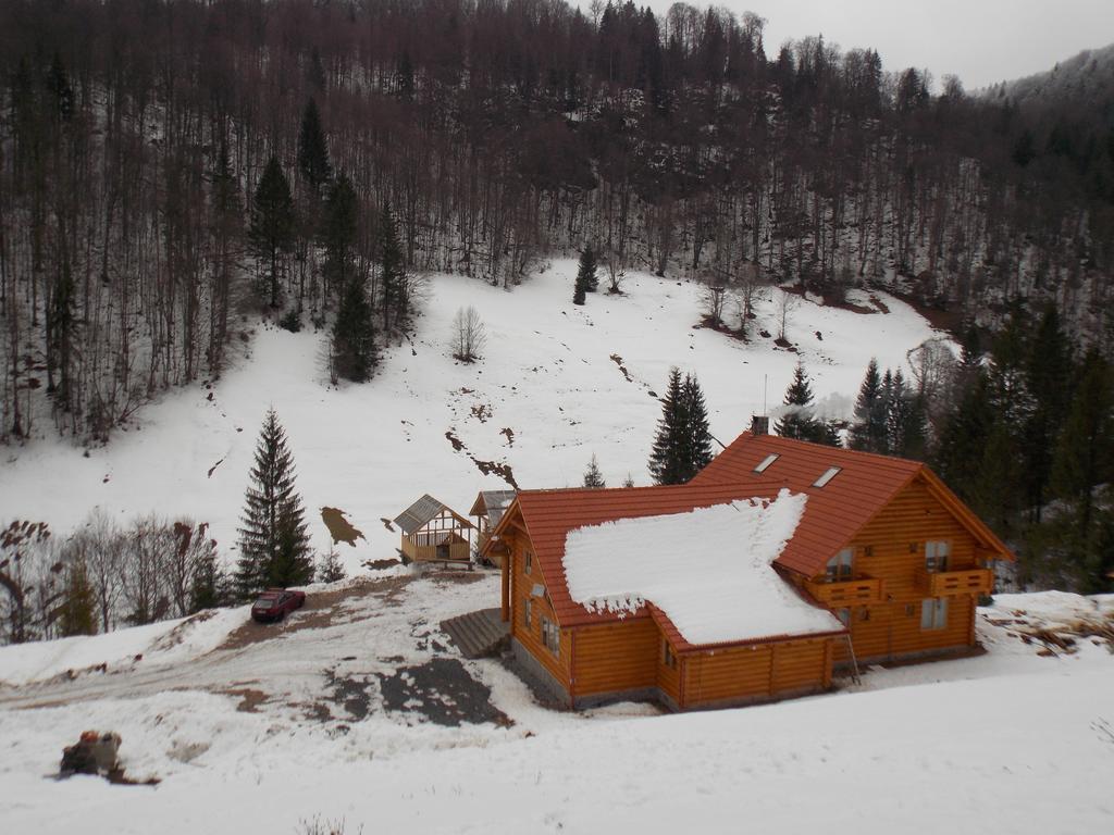 Pensiunea Izbucul Tauz Ghetari Esterno foto