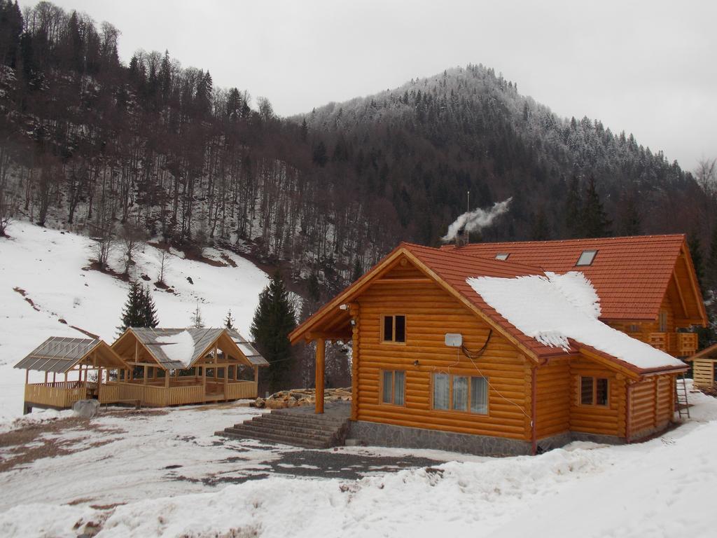 Pensiunea Izbucul Tauz Ghetari Esterno foto