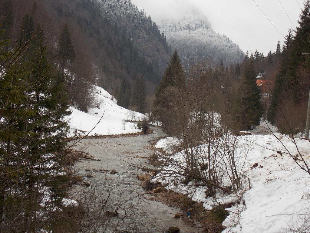 Pensiunea Izbucul Tauz Ghetari Esterno foto