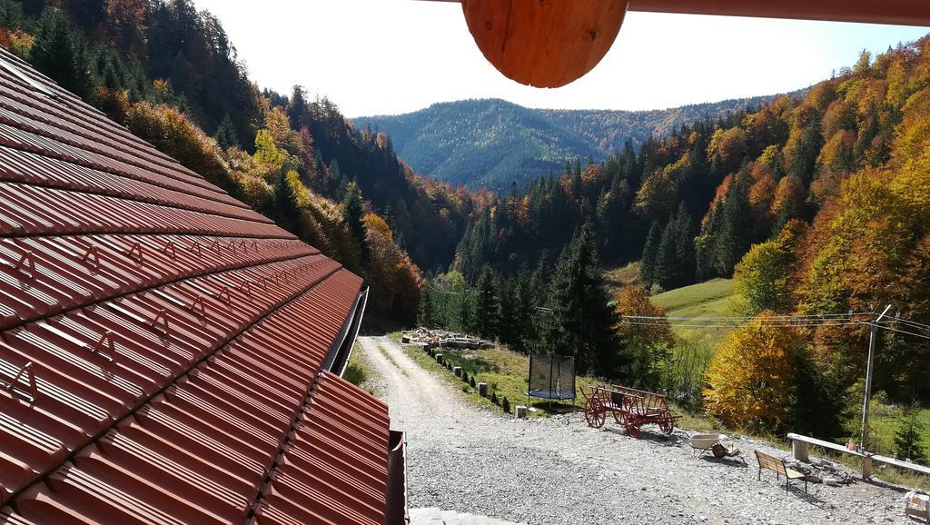 Pensiunea Izbucul Tauz Ghetari Esterno foto