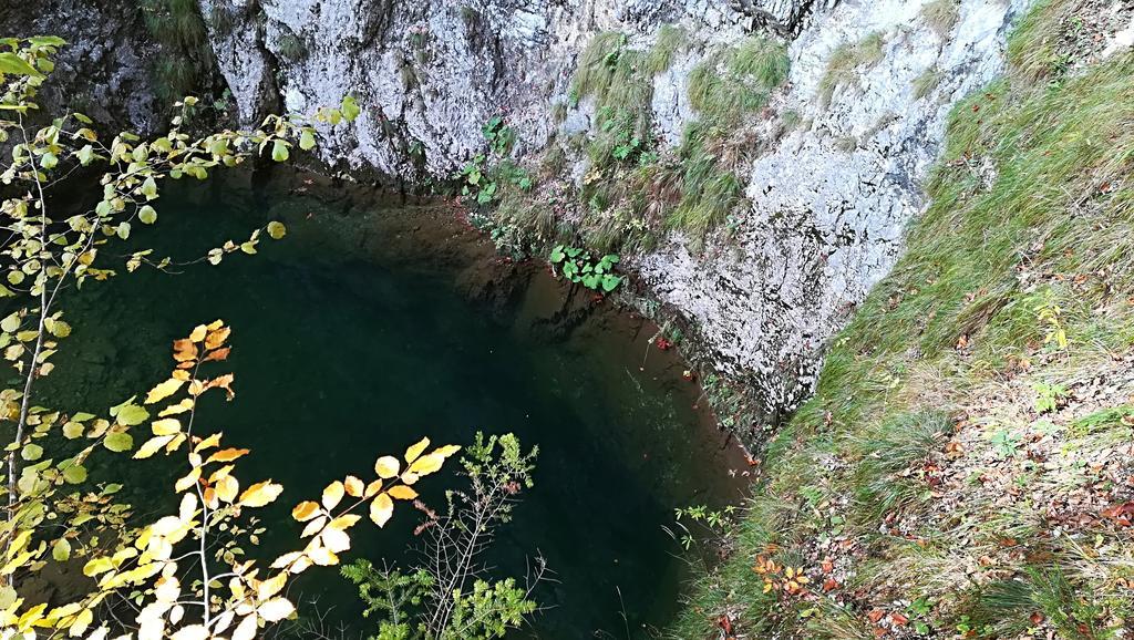 Pensiunea Izbucul Tauz Ghetari Esterno foto